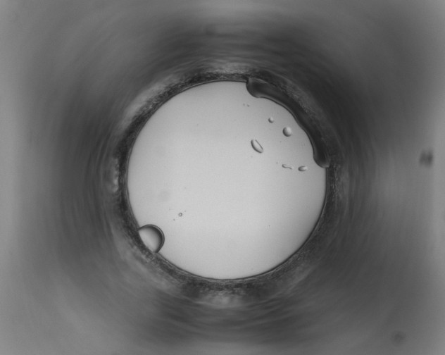 X0000113220731200910081341