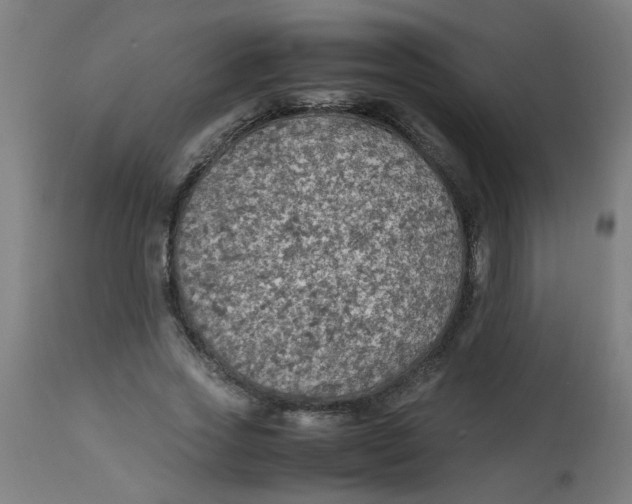 X0000113220733200910081341