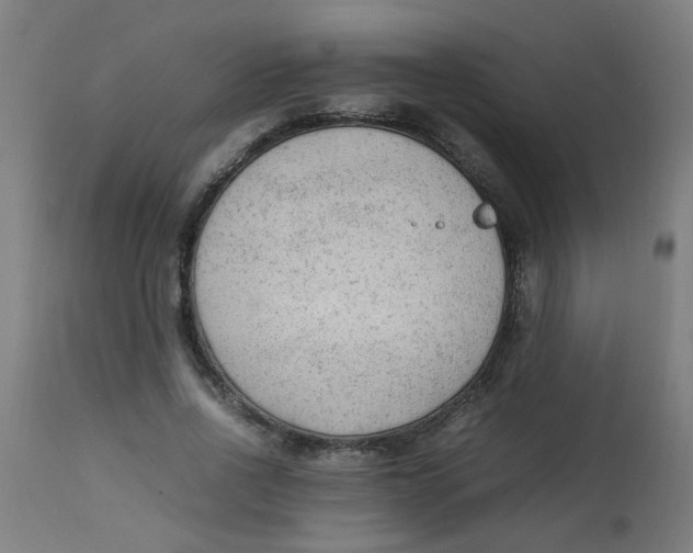 X0000113220734200910081341