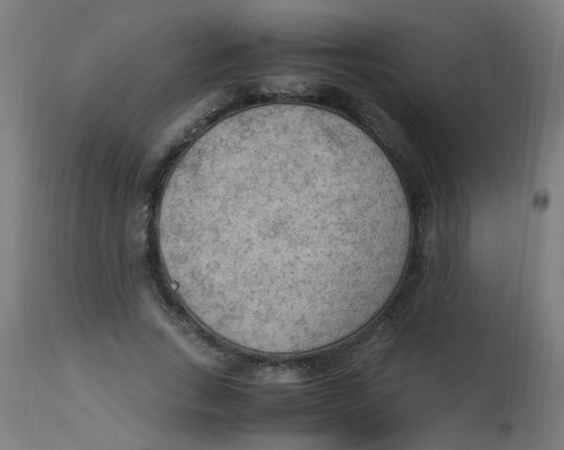 X0000113220735200910081341