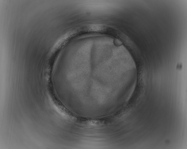 X0000113220736200910081341