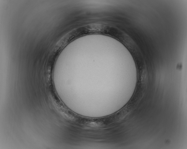 X0000113220737200910081341