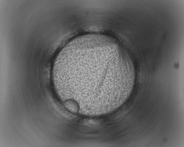 X0000113220739200910081341