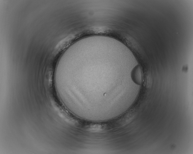 X0000113220740200910081341