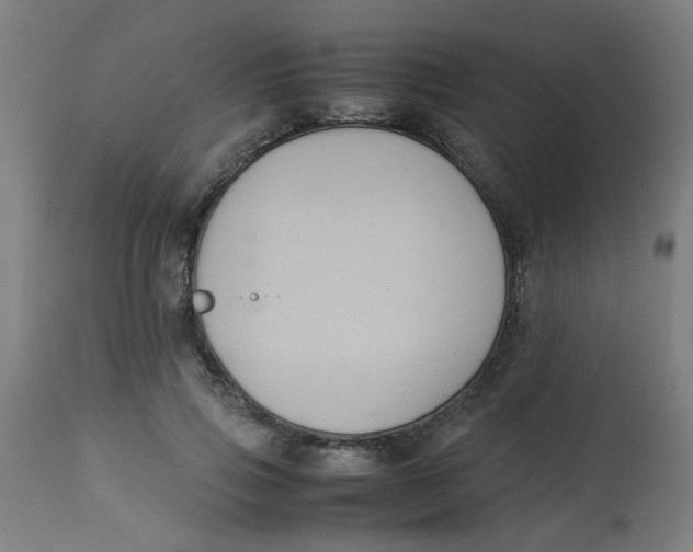 X0000113220741200910081341