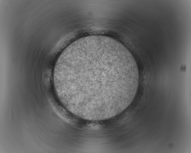 X0000113220742200910081341