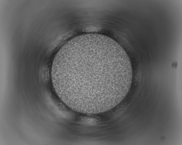 X0000113220743200910081341