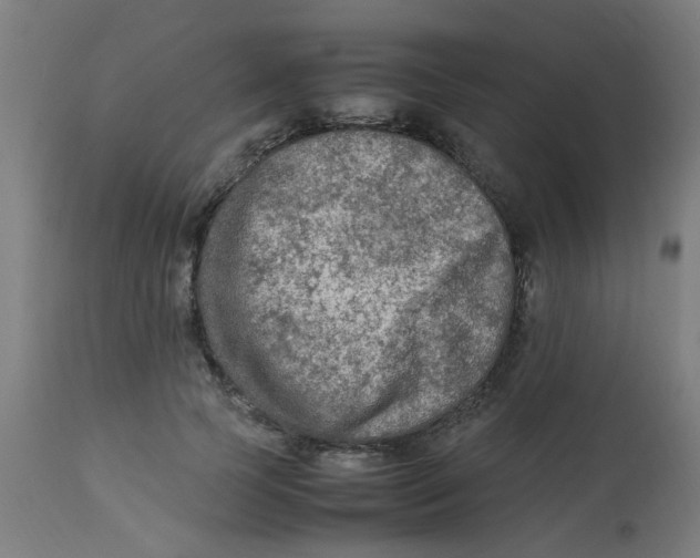 X0000113220745200910081341