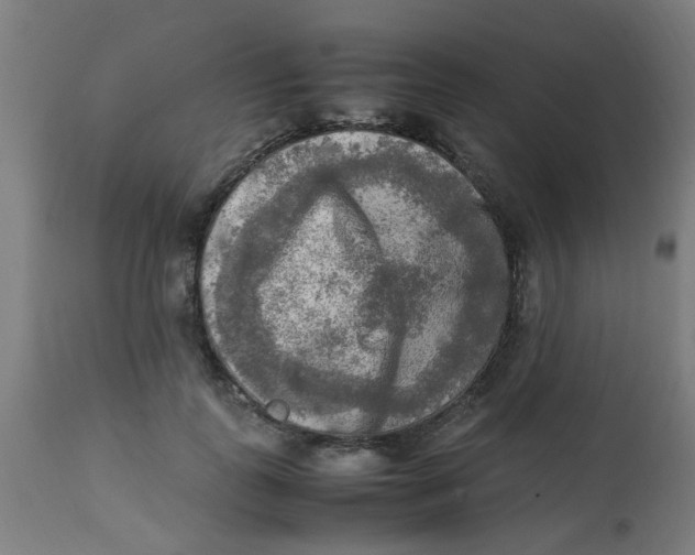 X0000113220747200910081341
