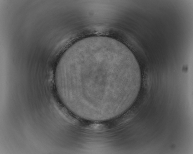 X0000113220748200910081341