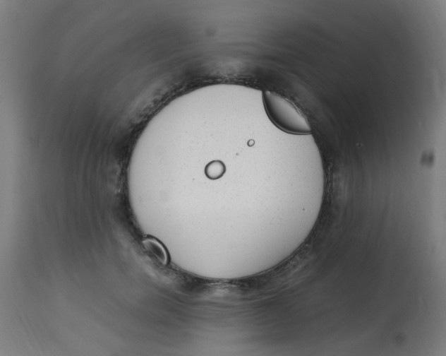 X0000113220750200910081341