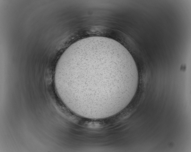 X0000113220751200910081341