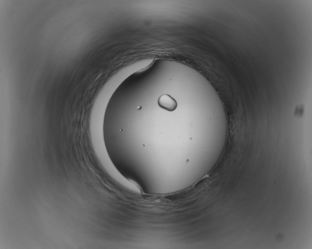 X0000113220752200910081341