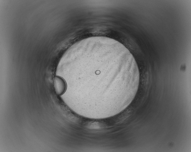 X0000113220755200910081341