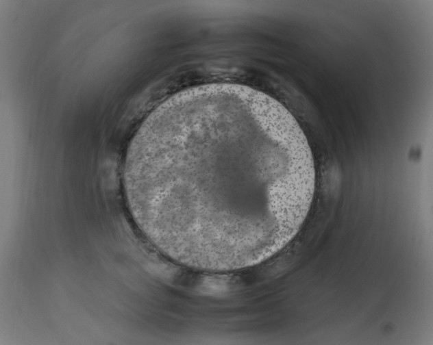 X0000113220757200910081341
