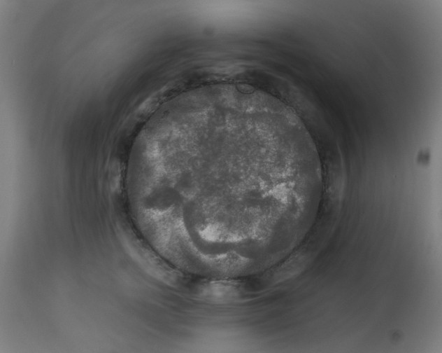 X0000113220758200910081341