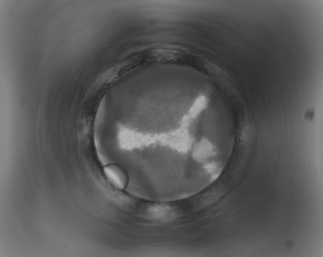 X0000113220759200910081341
