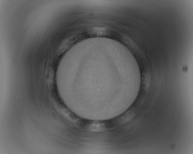 X0000113220760200910081341