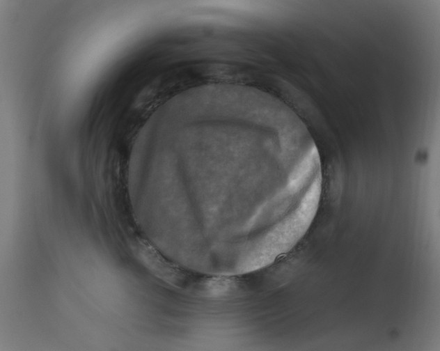 X0000113220762200910081341