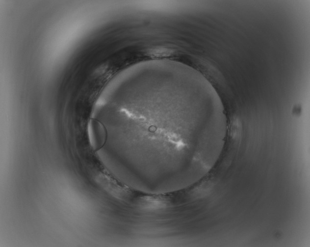 X0000113220763200910081341