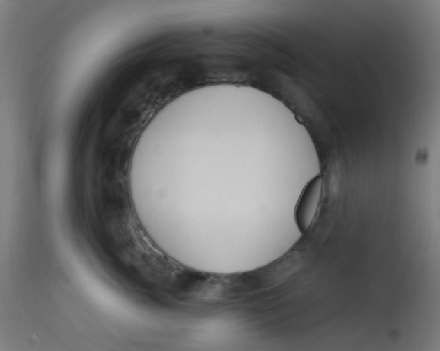 X0000113220764200910081341
