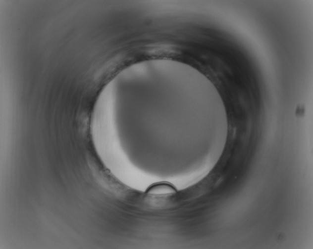 X0000113220767200910081341
