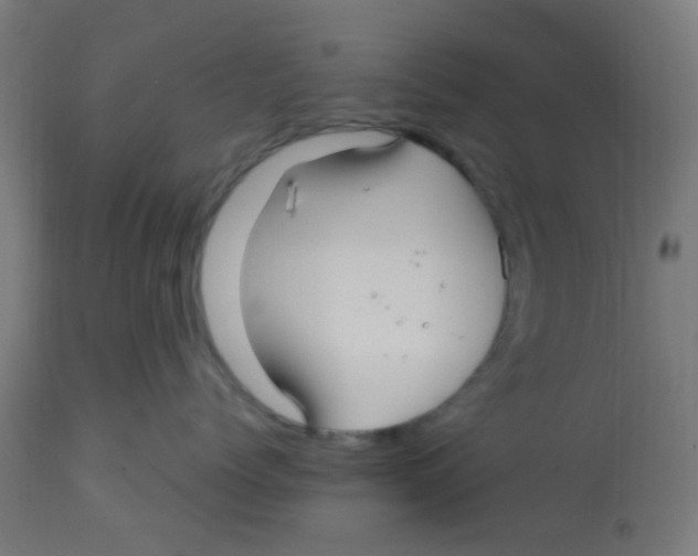 X0000113220768200910081341