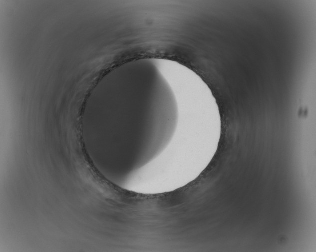 X0000113220769200910081340