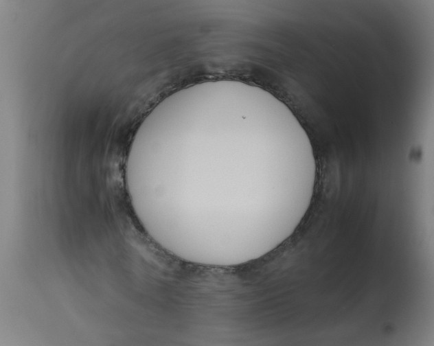 X0000113220770200910081340