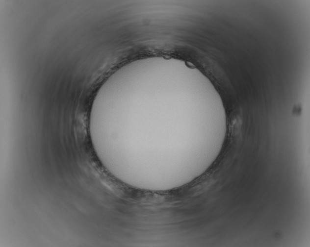 X0000113220772200910081340