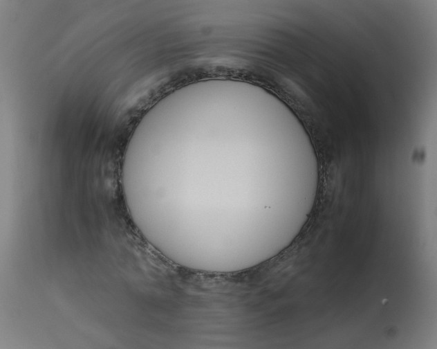 X0000113220774200910081340