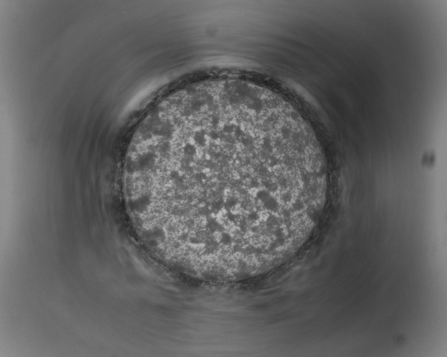 X0000113220775200910081340
