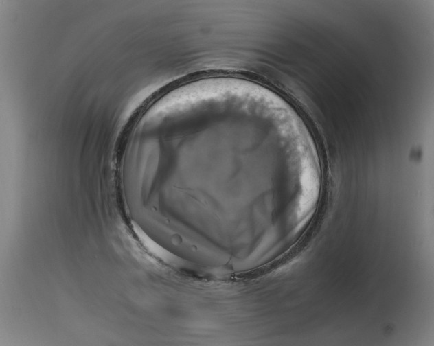 X0000113220779200910081340