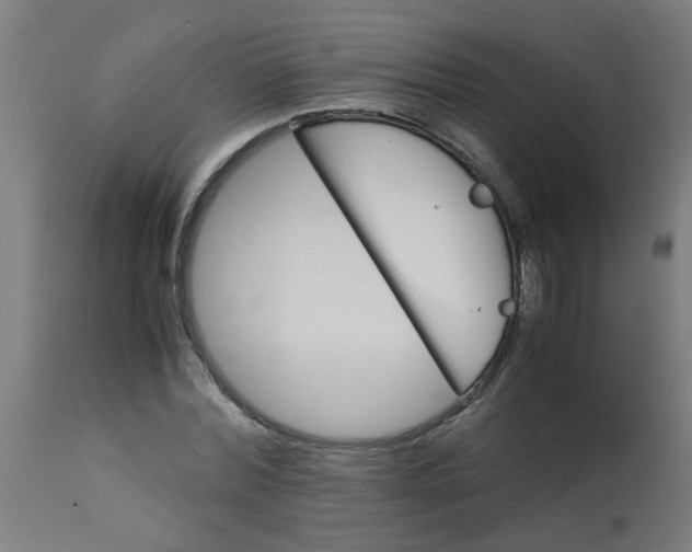 X0000113220780200910081340