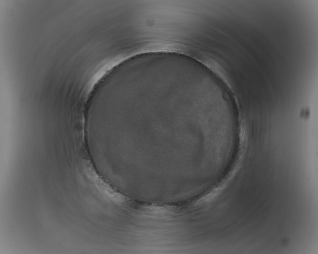 X0000113220781200910081340