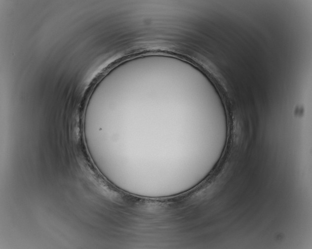 X0000113220782200910081340