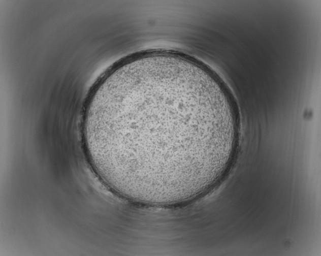 X0000113220783200910081340