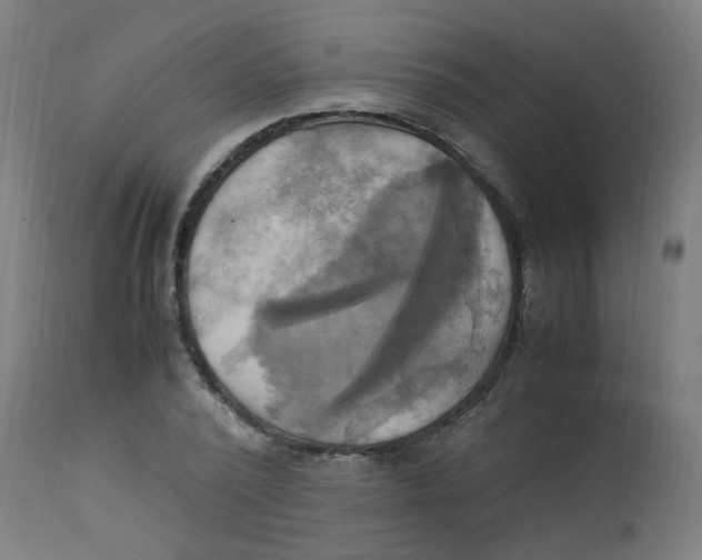 X0000113220784200910081340
