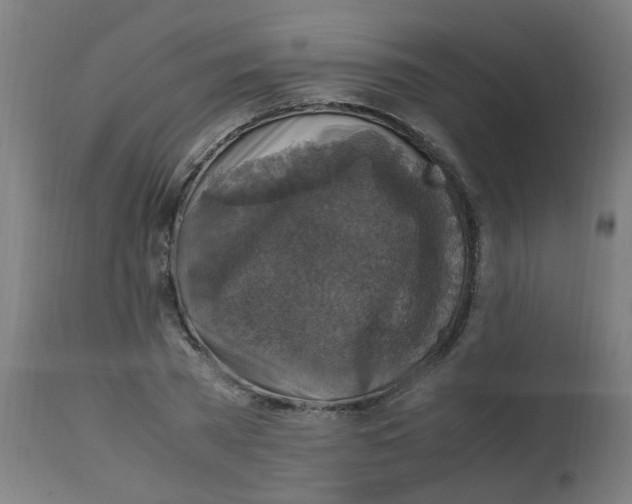 X0000113220785200910081340