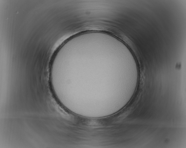 X0000113220787200910081340