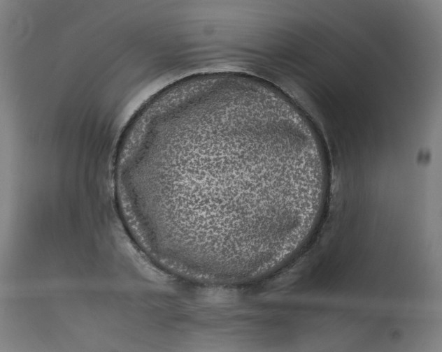 X0000113220789200910081340