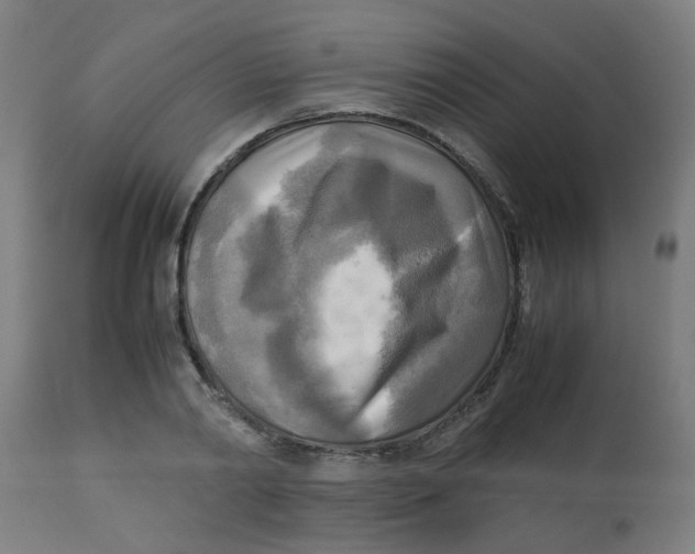 X0000113220790200910081340