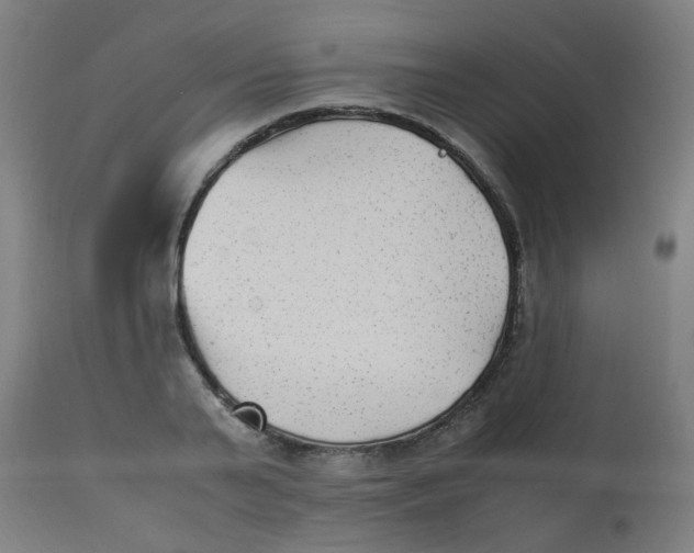 X0000113220791200910081340