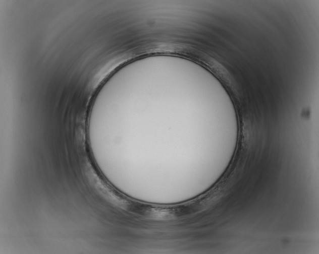 X0000113220794200910081340