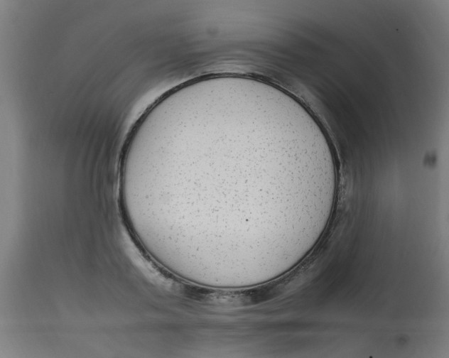 X0000113220795200910081340
