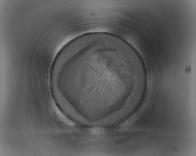 X0000113220797200910081340