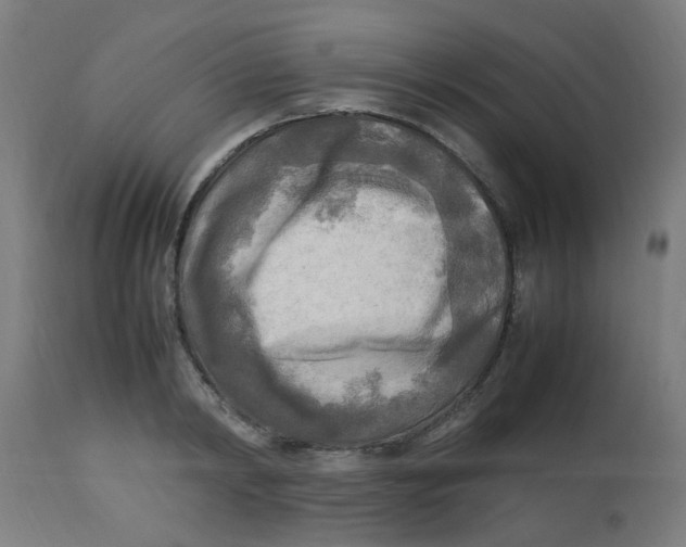 X0000113220798200910081340