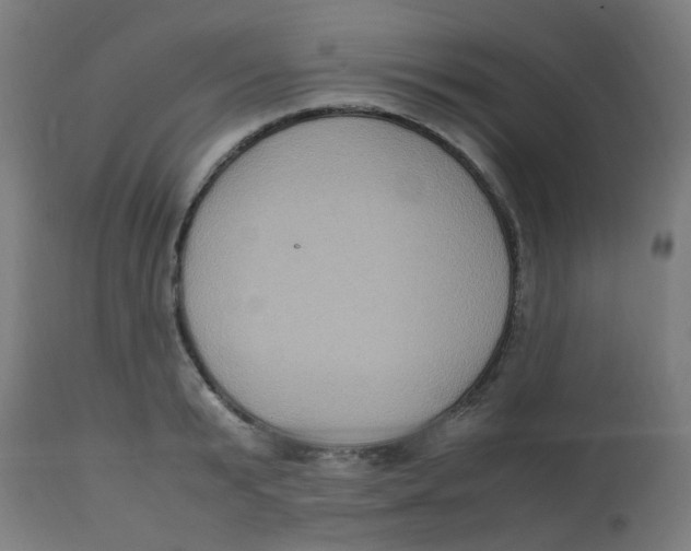 X0000113220799200910081340