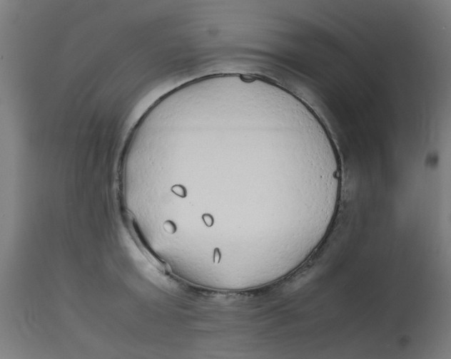 X0000113220803200910081340