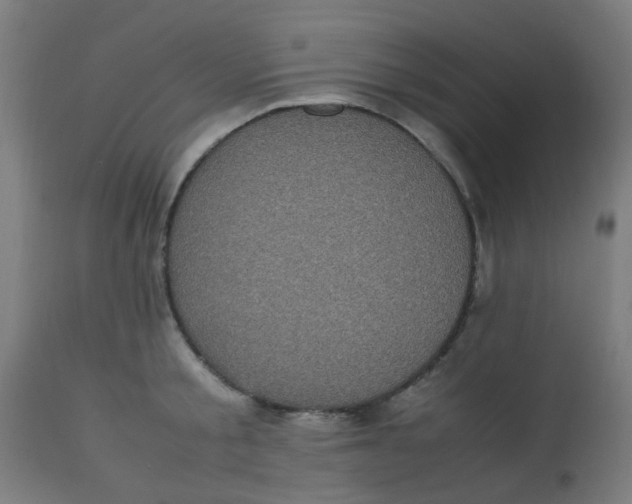 X0000113220805200910081340